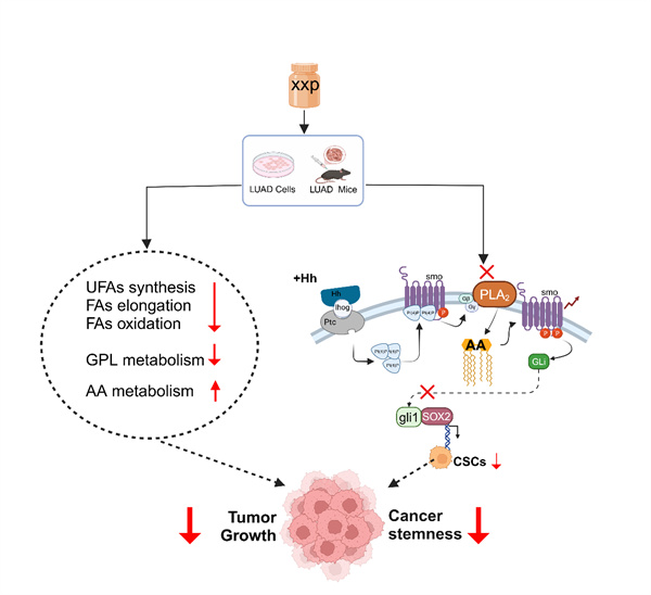 图片2.jpg 图片2.jpg